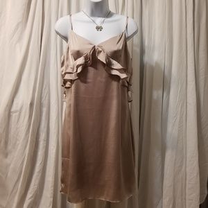 🖤 Silky Champagne Dress